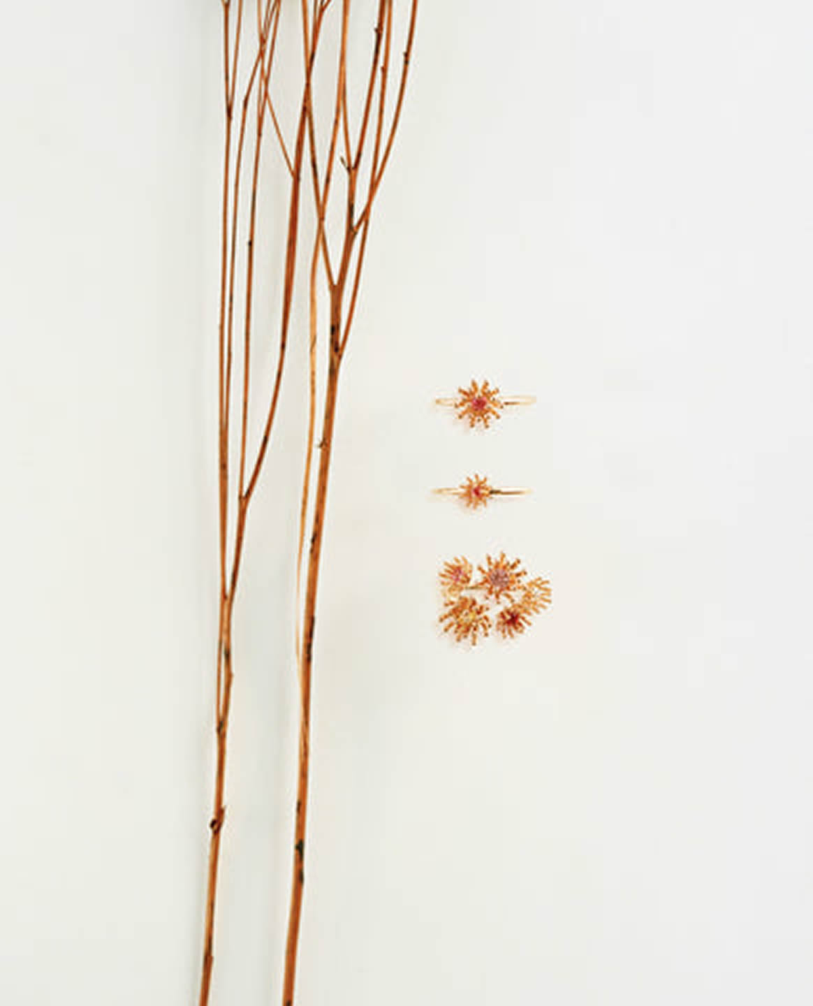 LE PETIT CACTUS ROSE