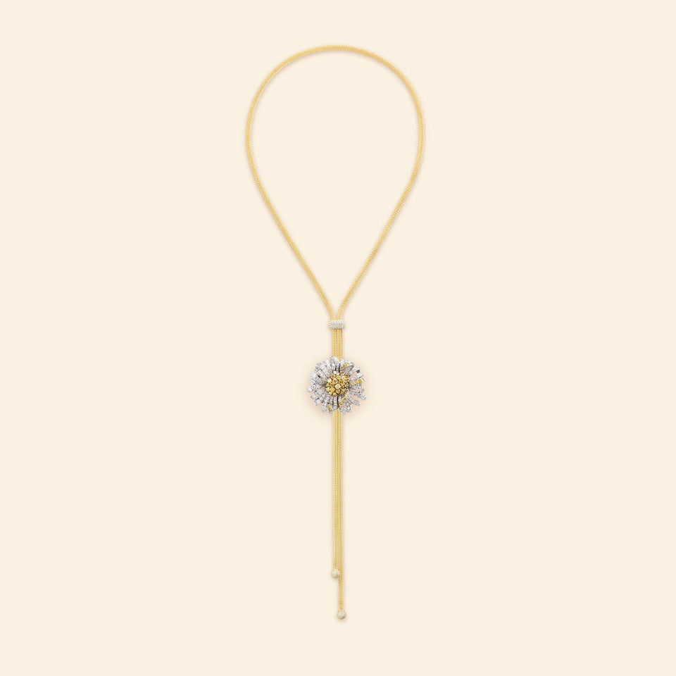 Bellezza Fiore Margherita