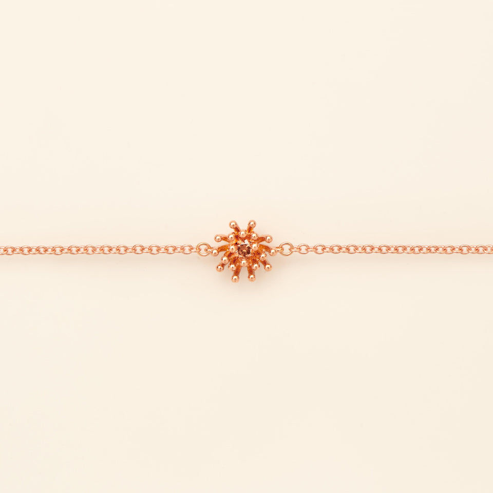 Le petit Cactus Vanille Bracelet Brown Diamond