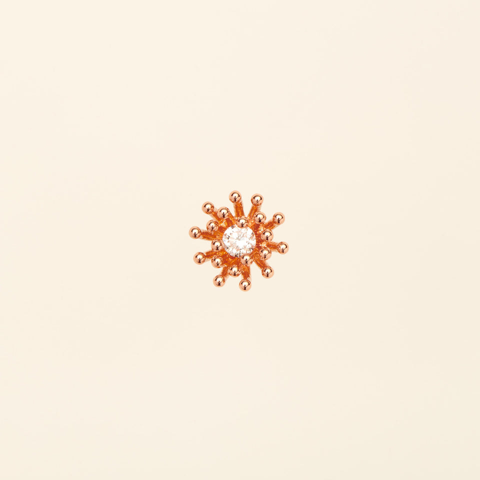 Le petit Cactus Vanille Stud Diamond