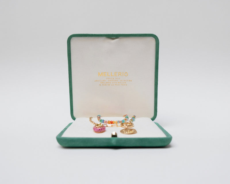 Haute Joaillerie Marque De Bijouterie Médaille Tortue En Or Jaune