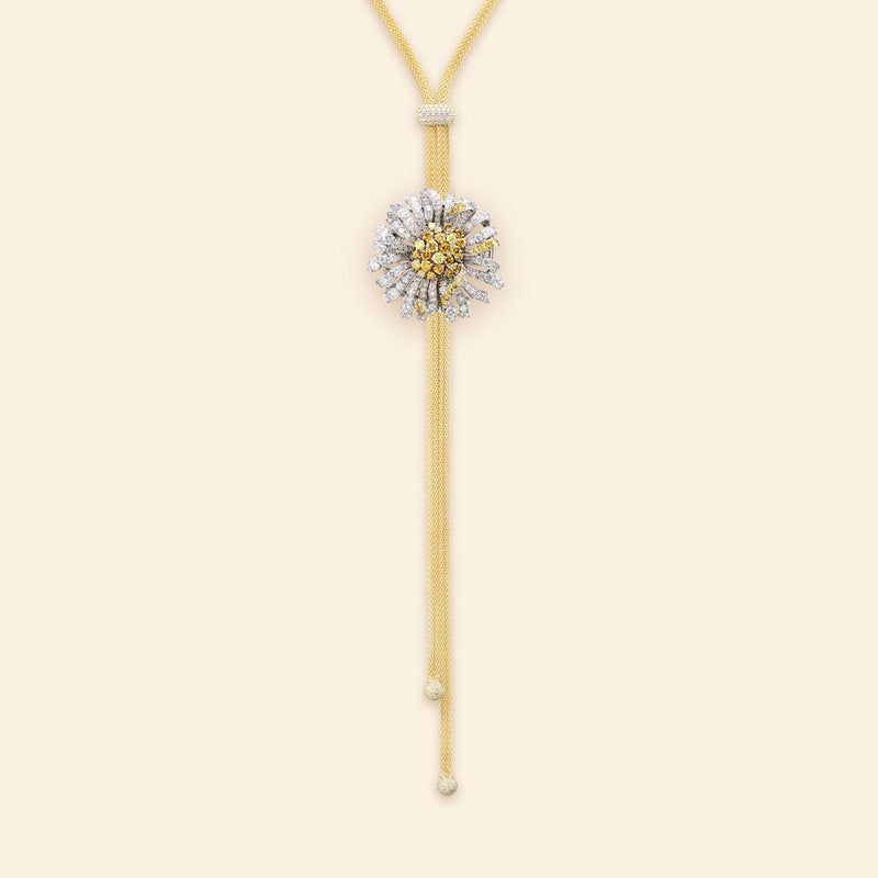 Bellezza Fiore Margarita