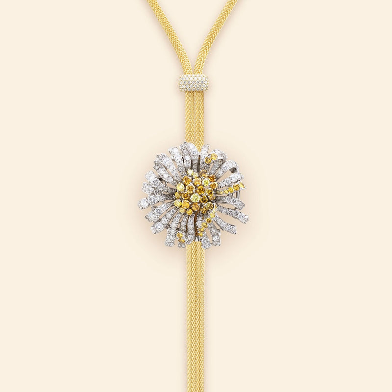 Bellezza Fiore Margarita