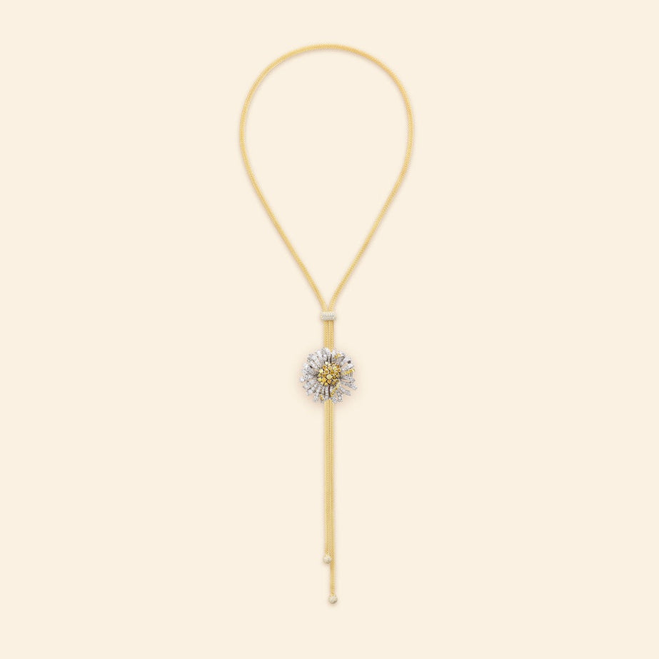 Bellezza Fiore Margherita