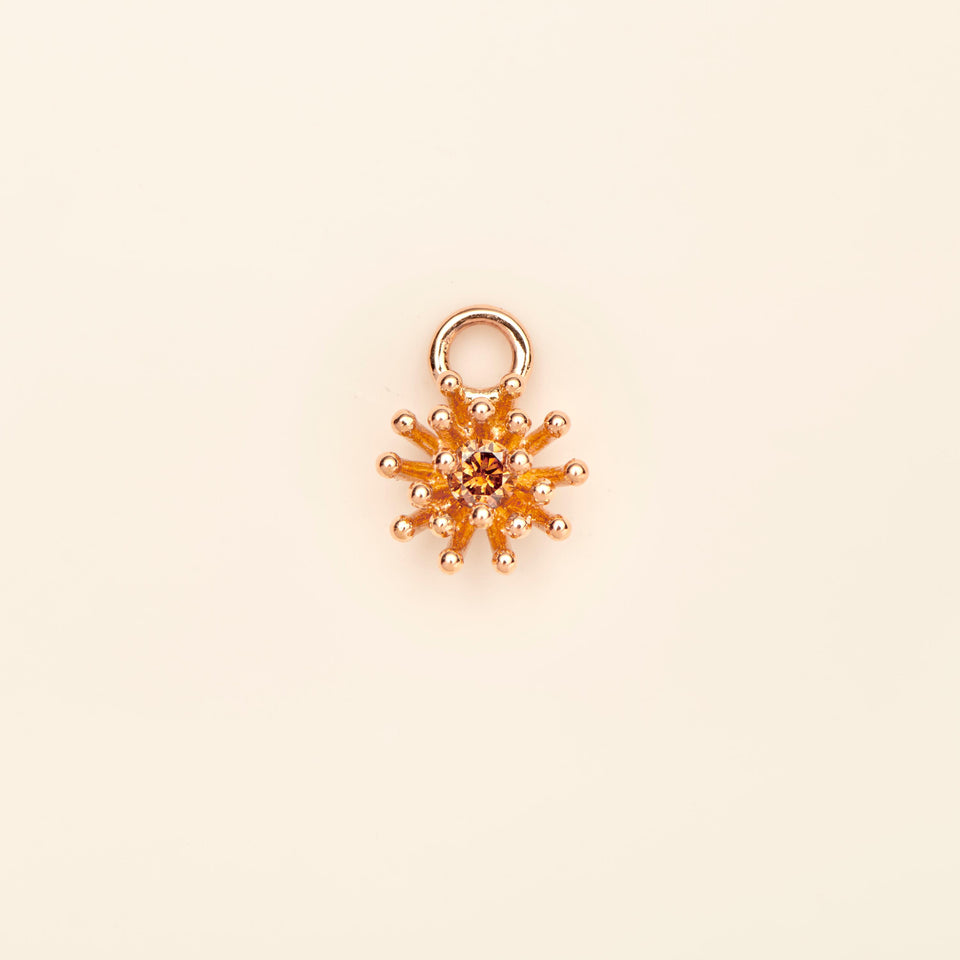 Le petit Cactus Vanille Charm brown diamond