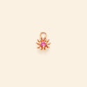 Le petit Cactus Rose Charm