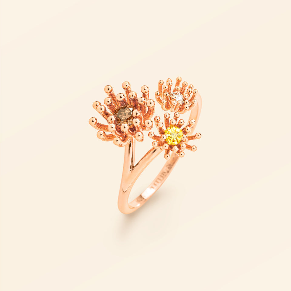 Le petit Cactus Vanille Ring 3 Patterns Diamond