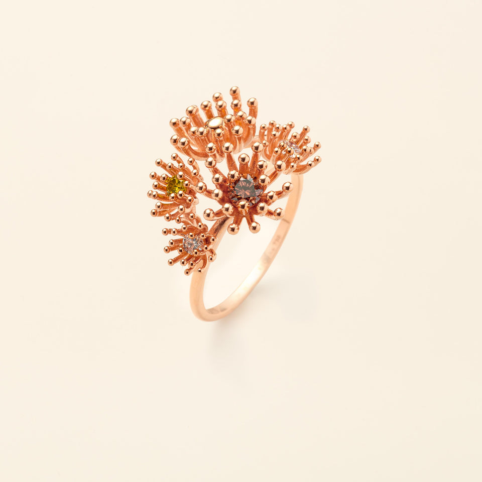 Le petit Cactus Vanille Ring 5 Patterns