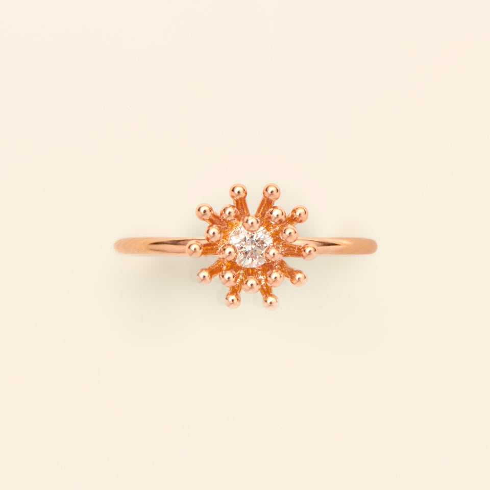 Le petit Cactus Vanille Ring MM Diamond