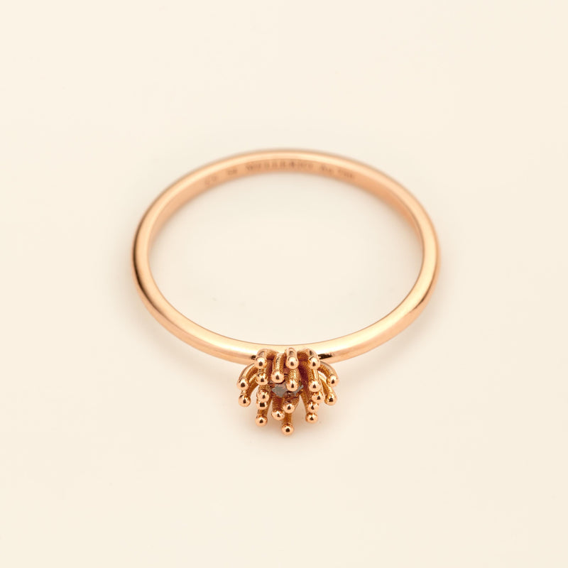 Le petit Cactus Vanille Ring SM Brown Diamond