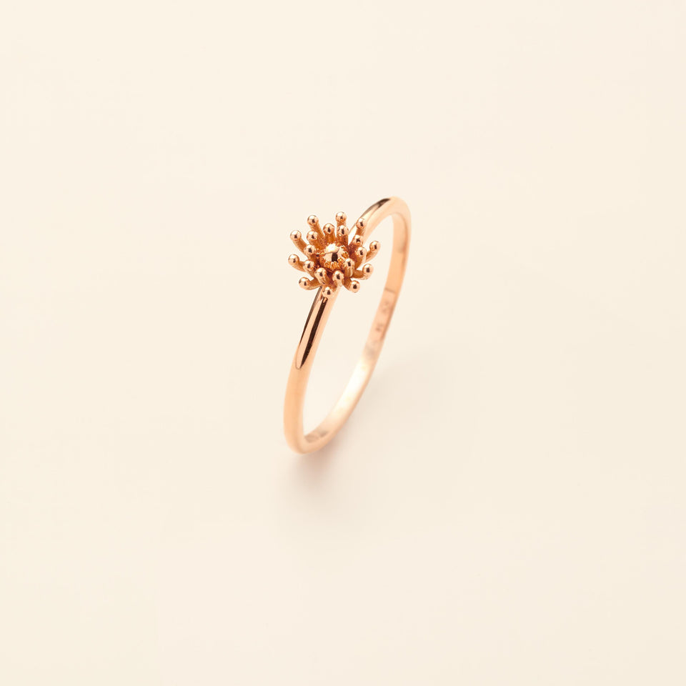 Le petit Cactus Vanille Ring SM Pink gold