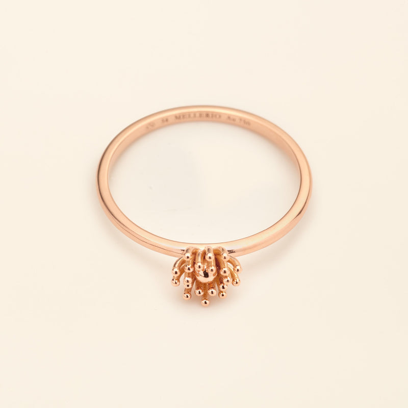 Le petit Cactus Vanille Ring SM Pink gold