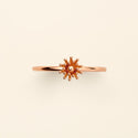 Le petit Cactus Vanille Ring SM Pink gold