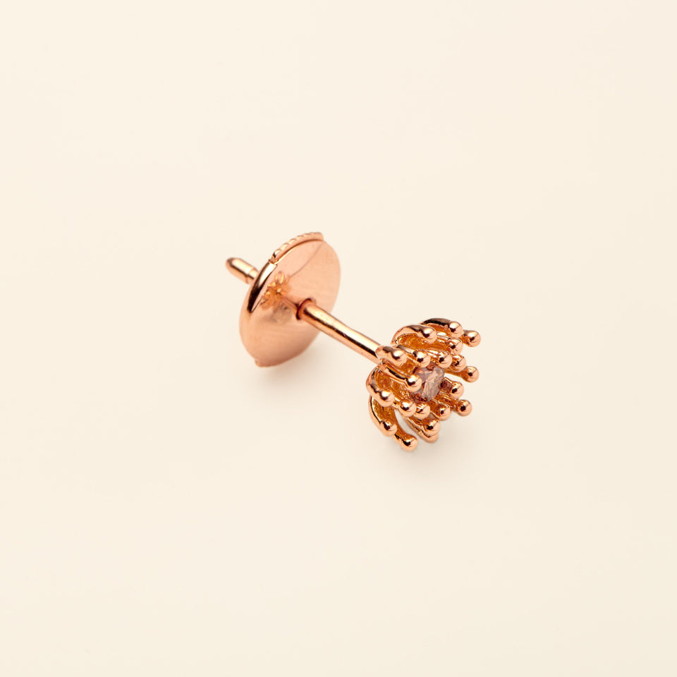 Le petit Cactus Vanille Stud Brown Diamond