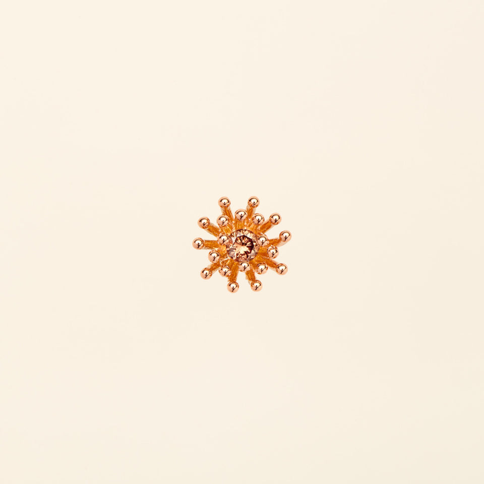 Le petit Cactus Vanille Stud Brown Diamond