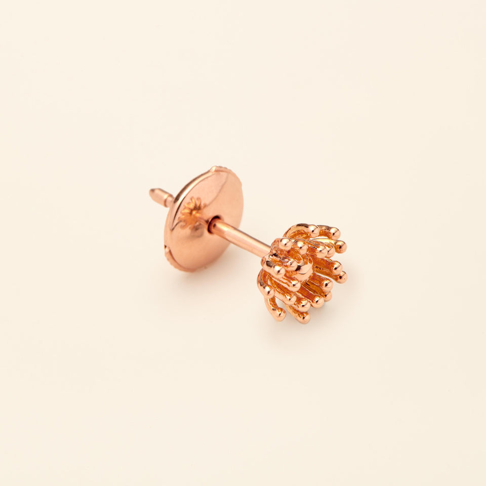 Le petit Cactus Vanille Stud Pink gold