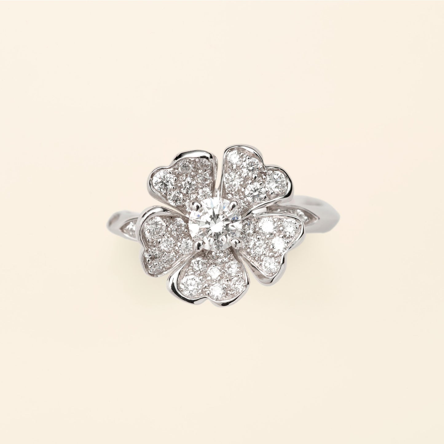 Monterosa Ring MM